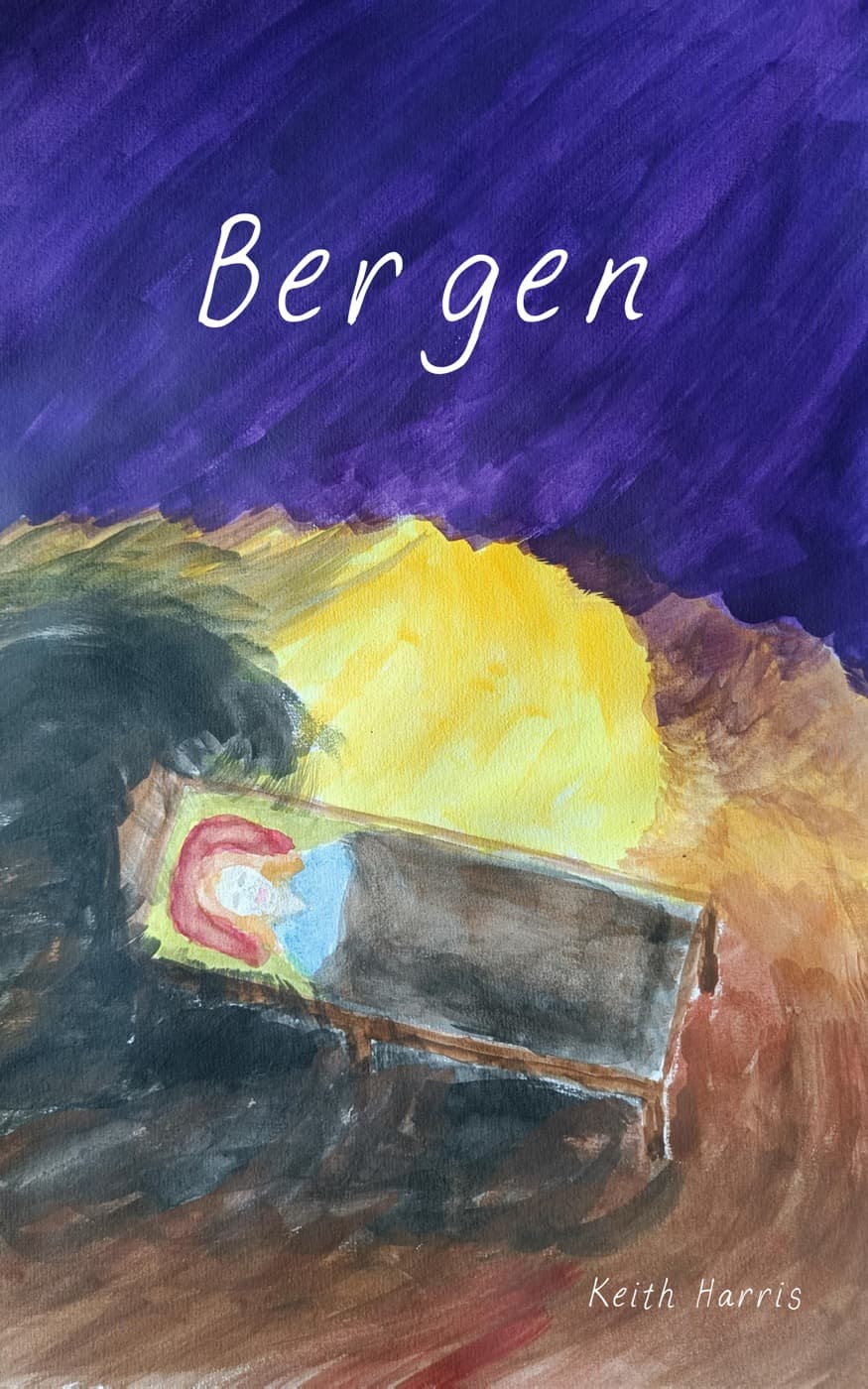 Bergen cover