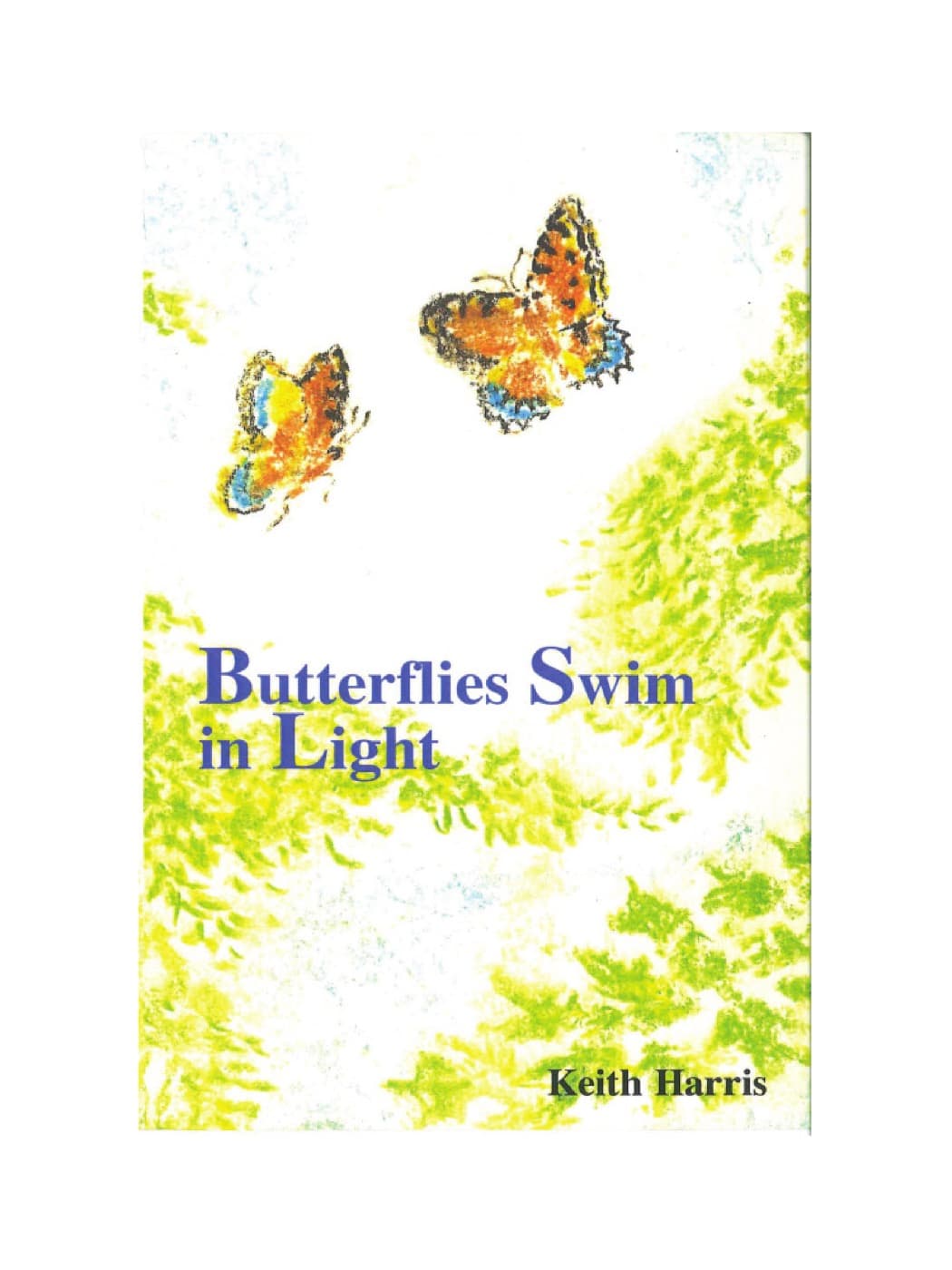 Butterflies Swim in Light cover