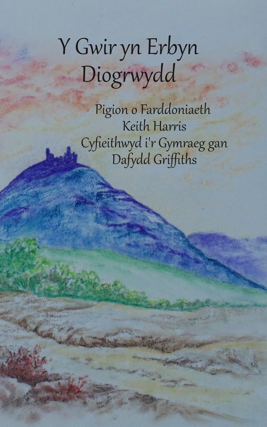 Y Gwir yn Erbyn Diogrwydd cover